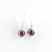 Hook dropped Garnet in a Dual Silver Orbit